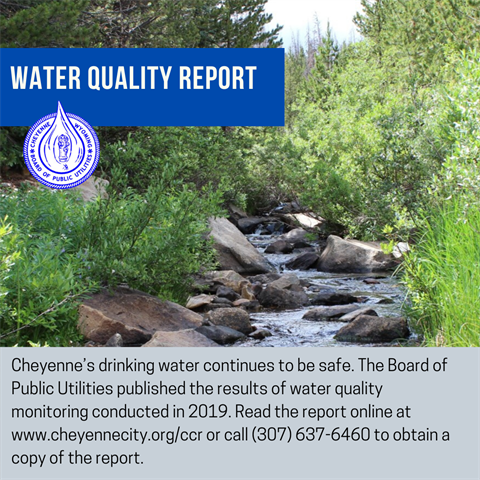 Water-Quality-Report.png